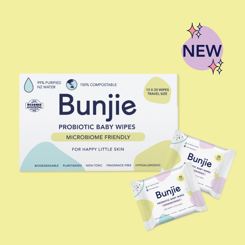 12 x 20 Pack of Travel Wipes